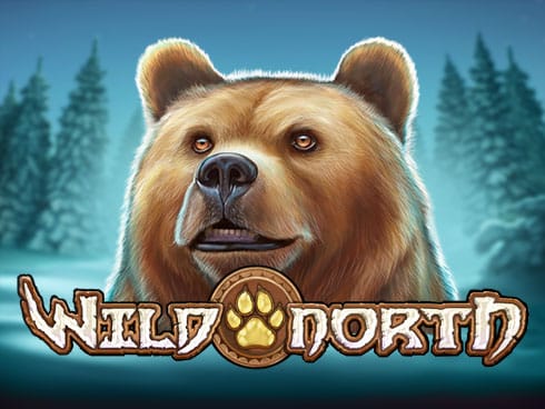 Wild North icon
