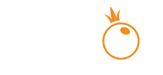 پیمنٹ پارٹنر 4 logo